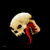 :iconFelipe-M-Rocha:
