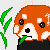 :iconfelis-felis: