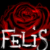 :iconfelis-thula: