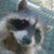 :iconfelix-the-ghost:
