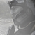 :iconfelixrj: