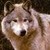 :iconfelixshadows: