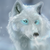 :iconfelixwolf114: