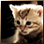 :iconfellbatzn: