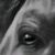 :iconfellow--x3: