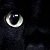 :iconfelorela: