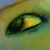 :iconfelorhax: