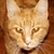 :iconfemmenoir111: