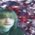 :iconfender9113: