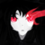 :iconfenek-kun: