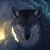:iconfenglan510: