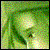:iconfenix04: