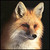 :iconfennecphotography: