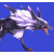 :iconFenrirCryWolf: