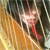 :iconfenrirea: