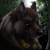 :iconfenrirschild: