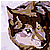 :iconfenrislorsrai: