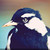 :iconfenrisulfrxx: