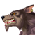 :iconfenrizwolf: