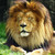 :iconfenuaboy: