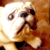 :iconfer-ny-jen: