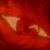 :iconfera-night: