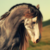 :iconfera1029: