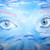 :iconfera4462: