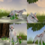:iconferalnyanheartnom: