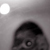 :iconferdikavak: