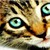 Ferglicious-Kittay :iconferglicious-kittay: