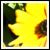 :iconfergy: