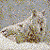 :iconferless009:
