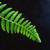 :iconfern714: