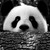 :iconfernanda-sfs:
