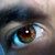 :iconfernando19: