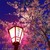 :iconfernie04: