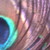 :iconfernne:
