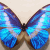 :iconferretgames:
