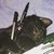 FerretMcRabid :iconferretmcrabid: