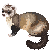 FerretRocher :iconferretrocher: