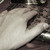 :iconfesseln1: