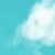 :iconfesteredwound:
