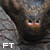 :iconfestivetortoise: