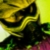 :iconfettguyneverdies: