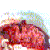 :iconfetusflower: