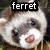 :iconfetzlepetzit: