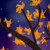 :iconfeuerbirke: