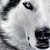 :iconfeuermiss1405: