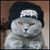:iconfeuerschwein: